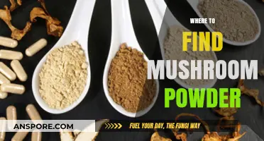 Discover the Best Sources for Mushroom Powder: A Comprehensive Guide