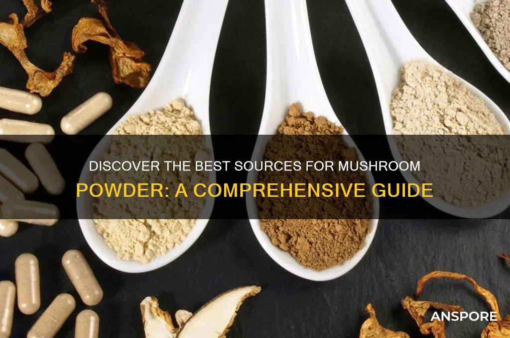 where to find mushroom powder