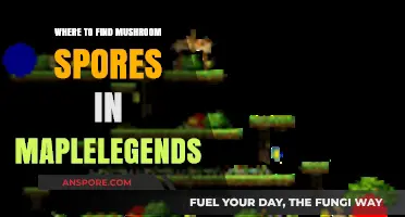 Discovering Mushroom Spores in MapleLegends: Top Locations and Tips
