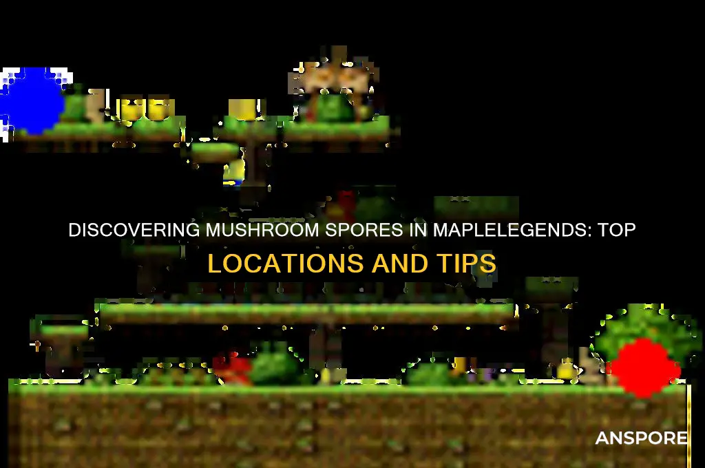where to find mushroom spores in maplelegends