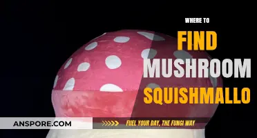 Discover the Best Spots to Find Adorable Mushroom Squishmallows