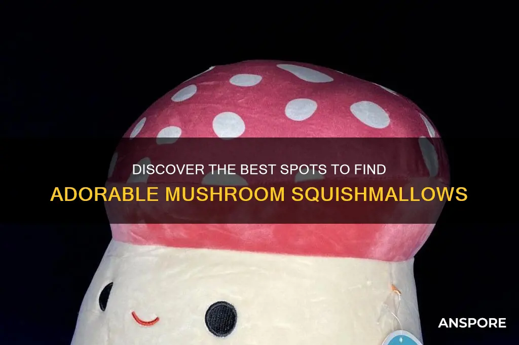 where to find mushroom squishmallow