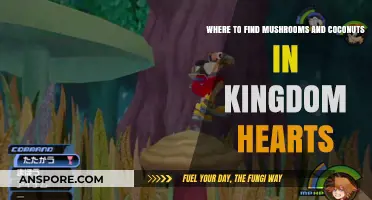 Mushroom and Coconut Locations in Kingdom Hearts: A Comprehensive Guide