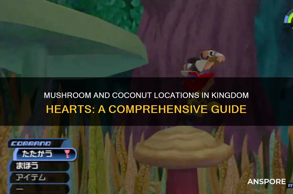 where to find mushrooms and coconuts in kingdom hearts