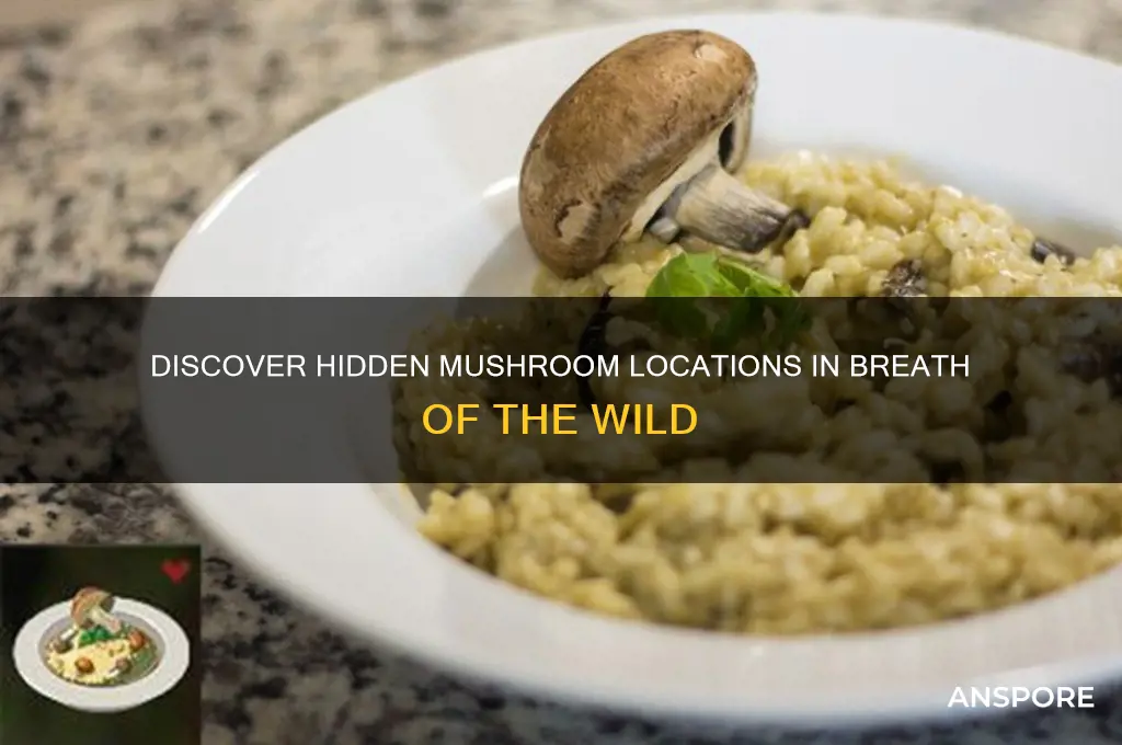 where to find mushrooms breath of the wild