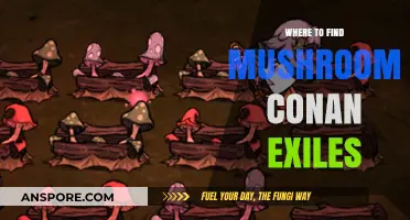 Discovering Mushroom Locations in Conan Exiles: A Comprehensive Guide