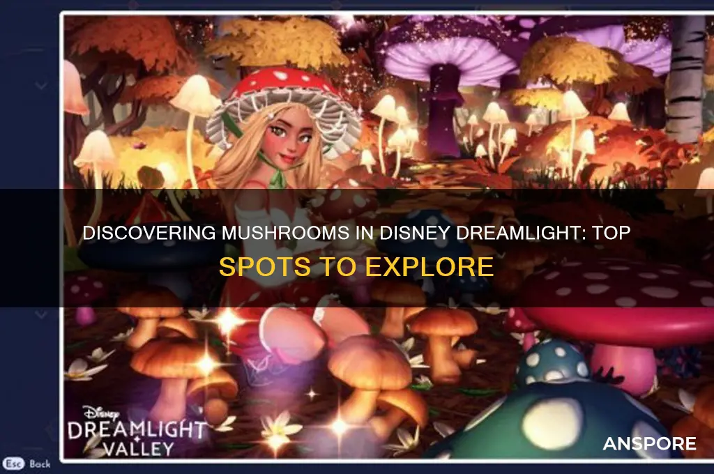 where to find mushrooms disney dreamlight