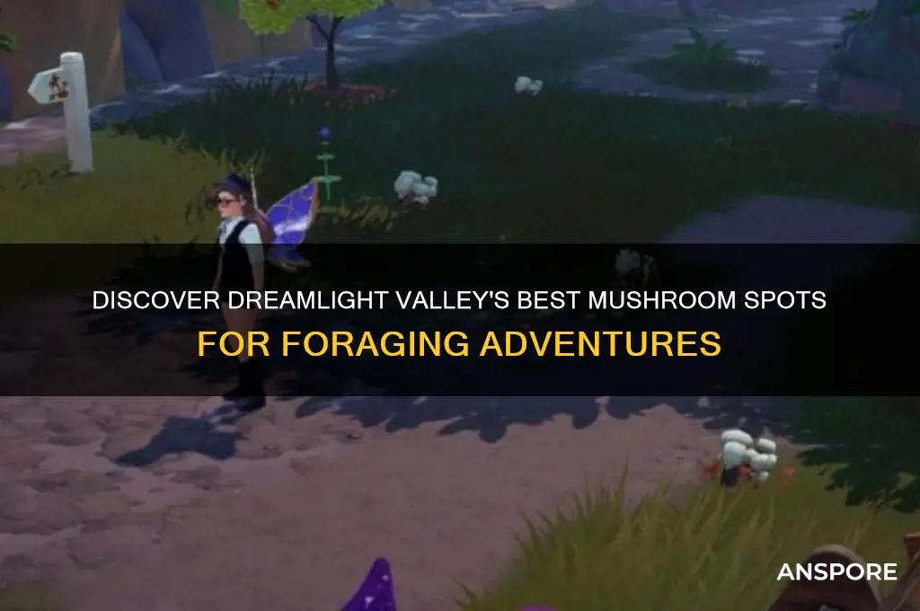 where to find mushrooms dreamlight valley