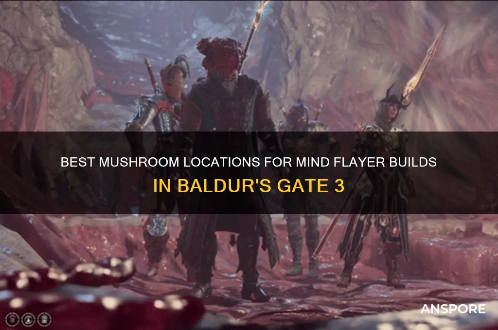 where to find mushrooms for mind flayer bg3