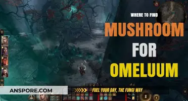Discovering Mushroom Sources for Omeluum: A Comprehensive Guide