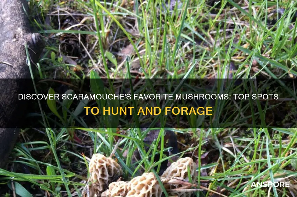 where to find mushrooms for scaramouche