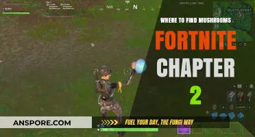Fortnite Chapter 2 Mushroom Locations: Best Spots to Find Them