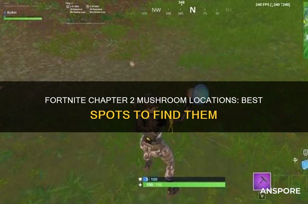 where to find mushrooms fortnite chapter 2