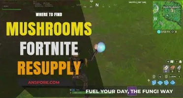 Fortnite Resupply: Best Mushroom Locations for Survival and Victory