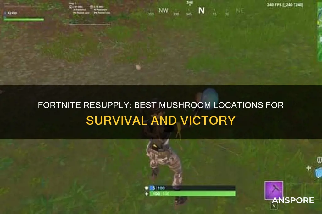 where to find mushrooms fortnite resupply