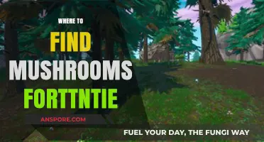 Discovering Fortnight's Best Mushroom Locations: A Comprehensive Guide