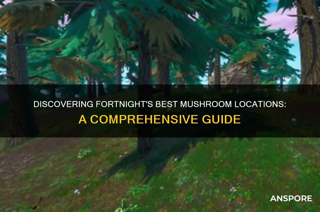 where to find mushrooms forttntie