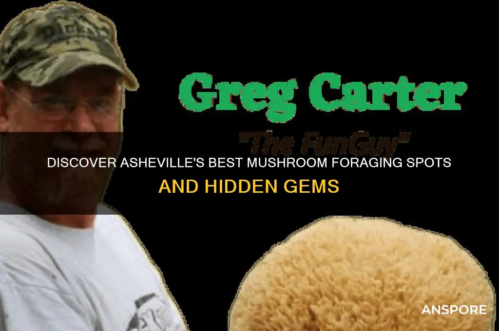 where to find mushrooms in asheville nc
