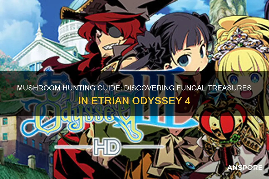 where to find mushrooms in etrian oddesy 4