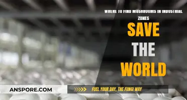 Urban Fungus Hunt: Discovering Mushrooms in Industrial Zones Save the World