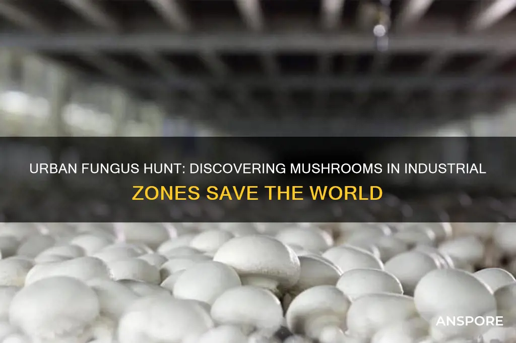 where to find mushrooms in industrial zones save the world