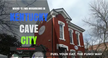 Exploring Kentucky's Cave City: Top Spots for Mushroom Foraging