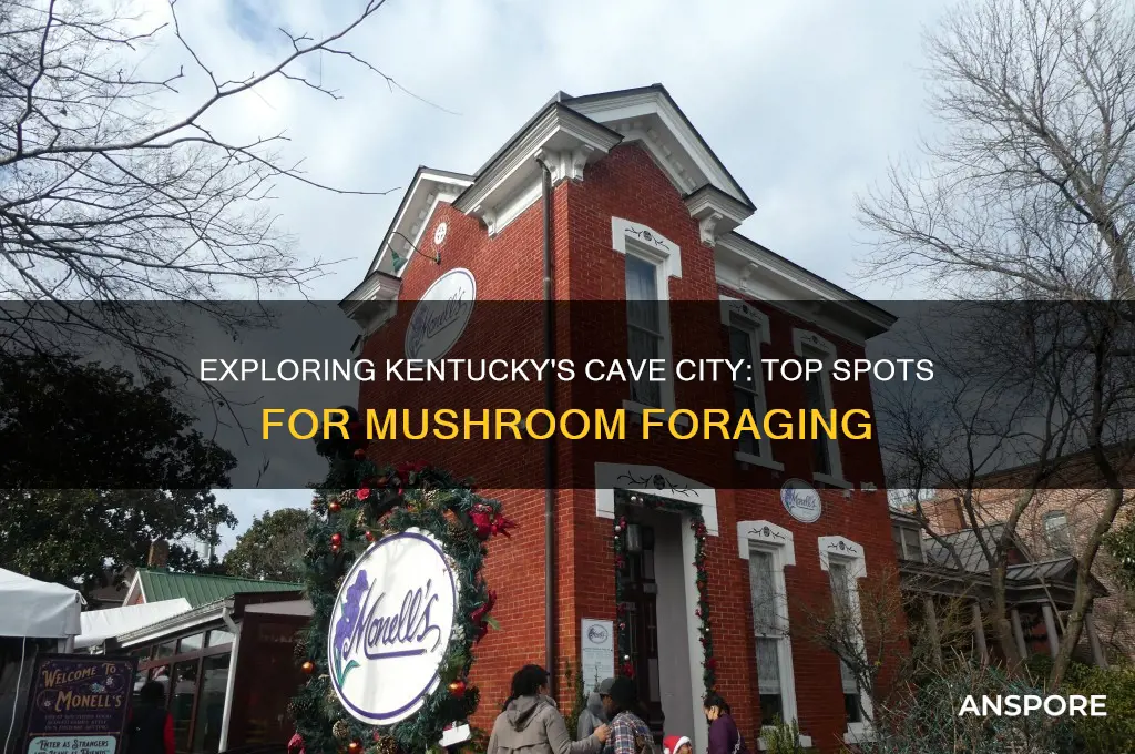 where to find mushrooms in kentucky cave city
