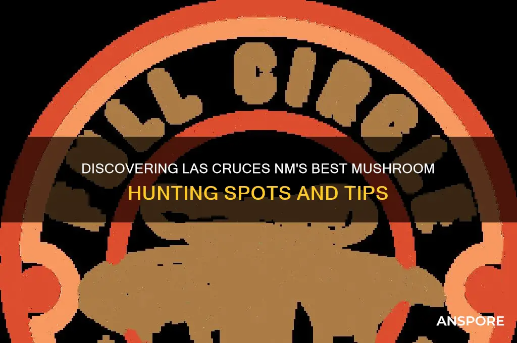 where to find mushrooms in las cruces nm