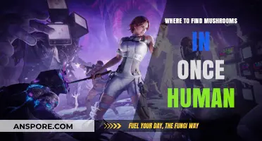 Discovering Mushroom Locations in Once Human: A Comprehensive Guide
