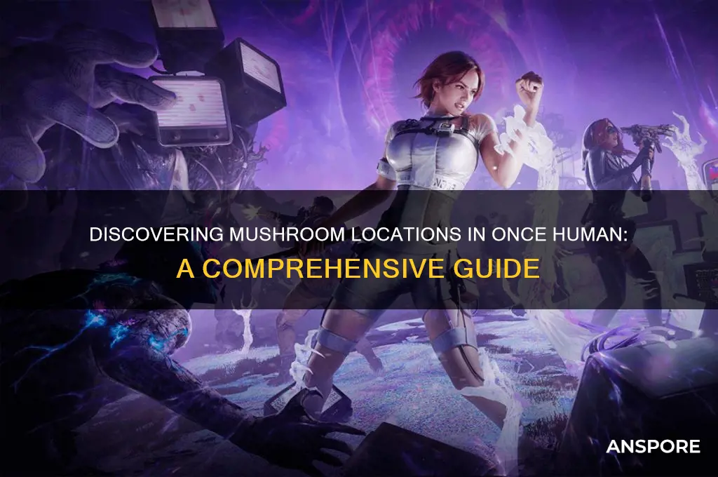 where to find mushrooms in once human