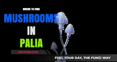 Discover Palia's Best Mushroom Hunting Spots: A Forager's Guide