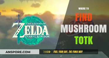 Discovering Mushroom Locations in TotK: A Comprehensive Guide