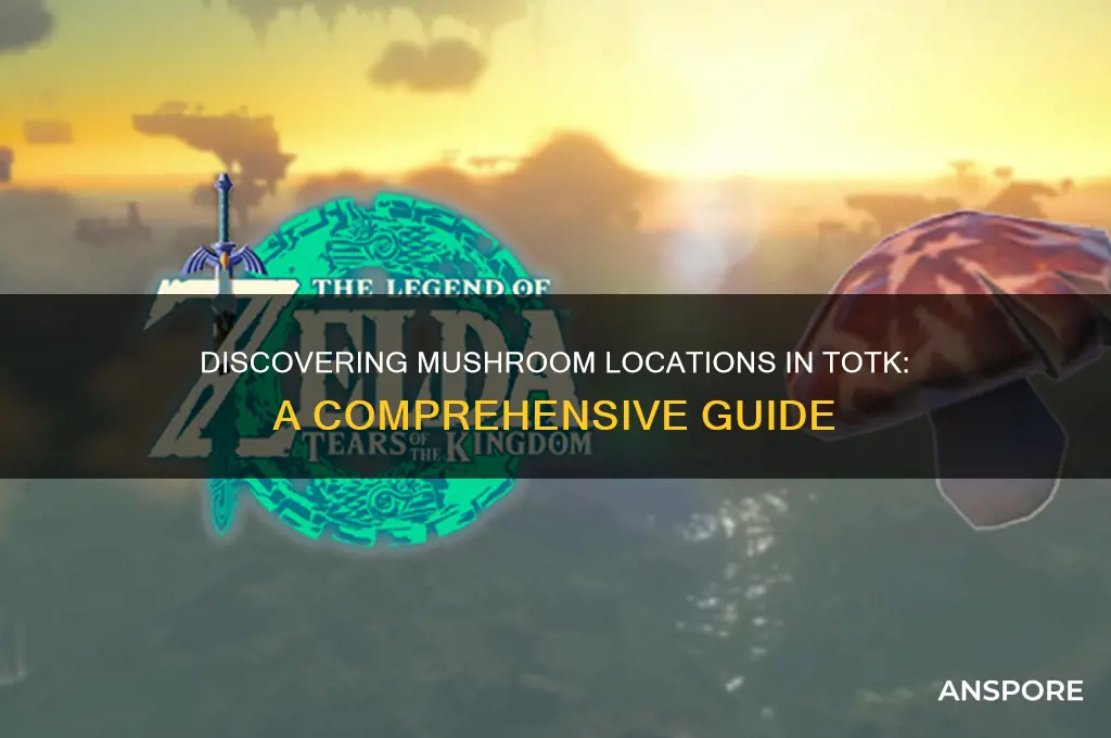 where to find mushrooms totk