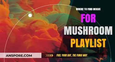 Discover the Perfect Music for Your Mushroom Playlist: Top Sources