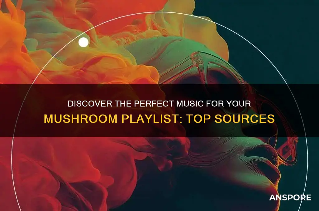 where to find music for mushrooms playlist