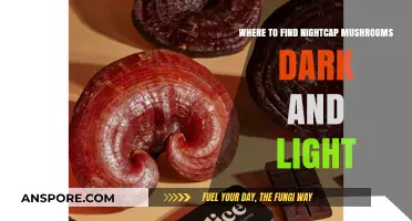 Discover Nightcap Mushrooms: Prime Locations in Dark and Light Zones