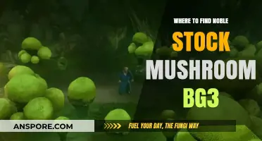 Discover Noble Stock Mushroom Locations in Baldur's Gate 3