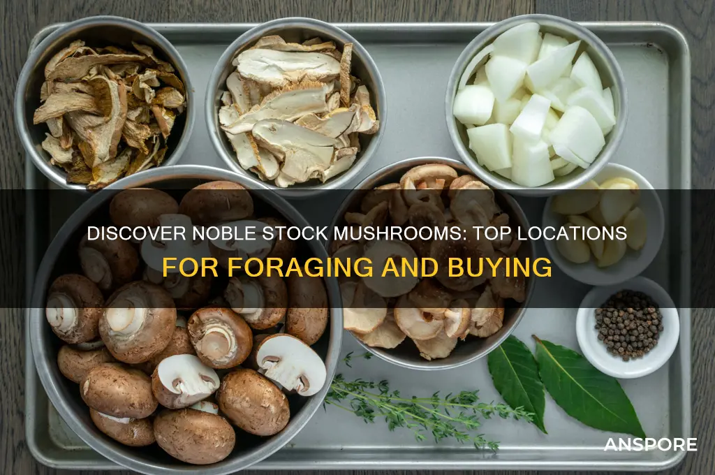 where to find noble stock mushroom