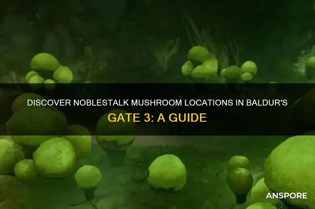 where to find noblestalk mushroom baldur