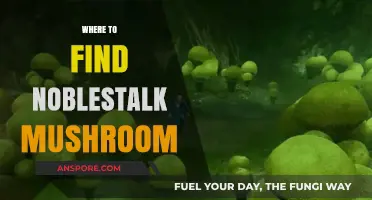 Discover the Best Locations to Find Noblestalk Mushrooms Easily