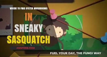 Discover Hidden Oyster Mushrooms in Sneaky Sasquatch: Top Spots