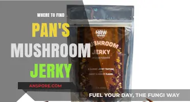 Discover Pan's Mushroom Jerky: Top Locations and Buying Tips