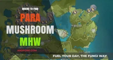 Discover Hidden Para Mushroom Locations in Monster Hunter World