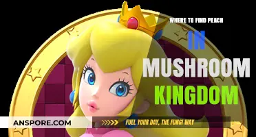 Discover Peach's Secret Hideouts in Mushroom Kingdom: A Guide