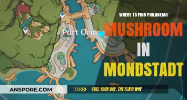 Discover Philanemo Mushrooms: Top Spots in Mondstadt for Foragers