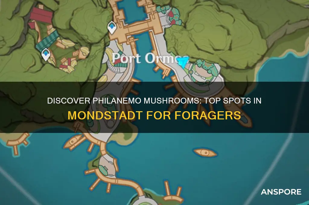where to find philanemo mushroom in mondstadt