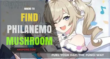 Discover Hidden Spots to Find Philanemo Mushrooms in the Wild