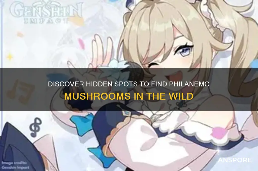 where to find philanemo mushroom