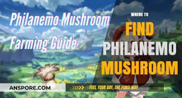 Discovering Philanemo Mushrooms: Top Locations for Foraging Success
