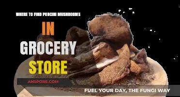 Porcini Mushroom Hunt: Locating Fresh or Dried Varieties in Grocery Stores